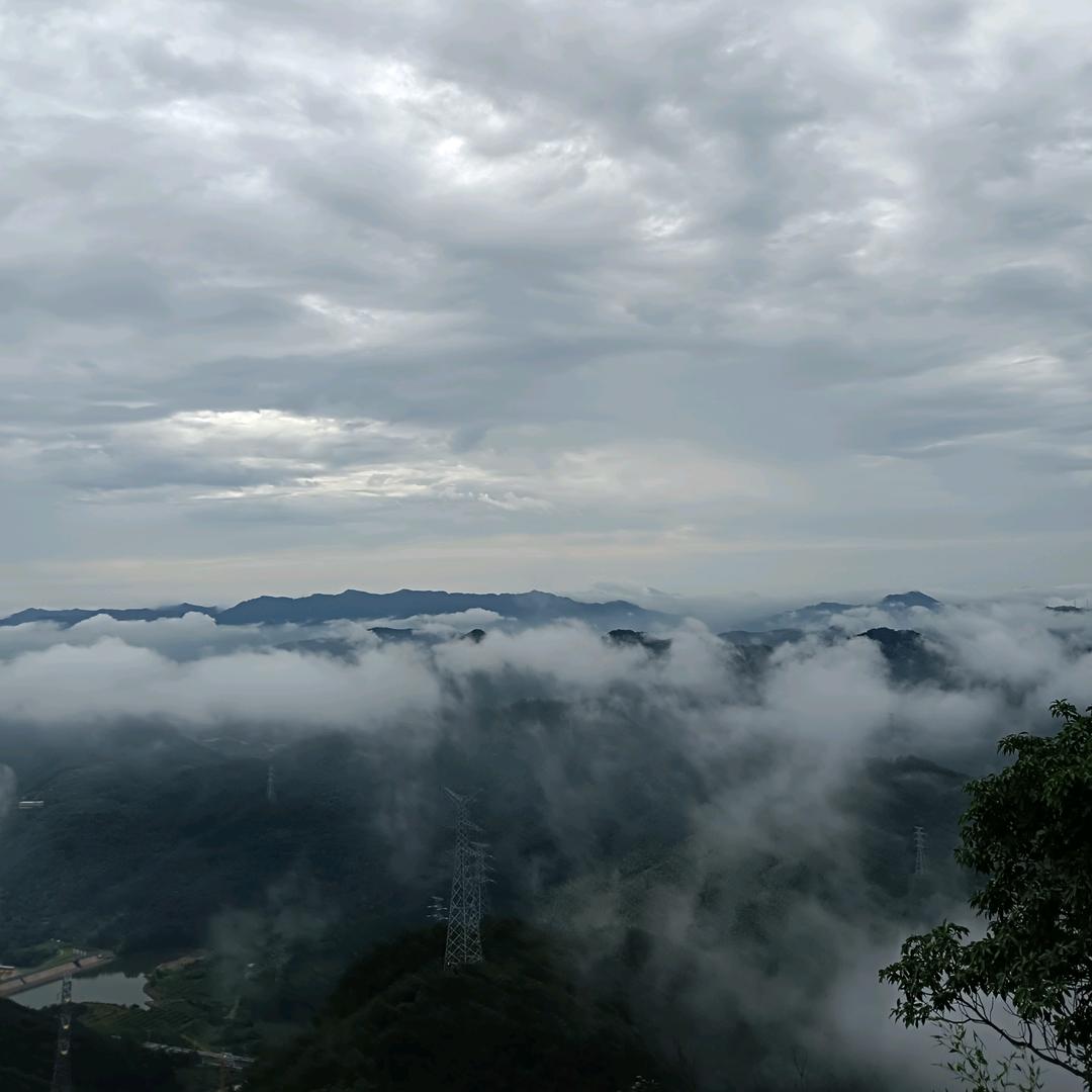 🤫向阳而生🤭👣