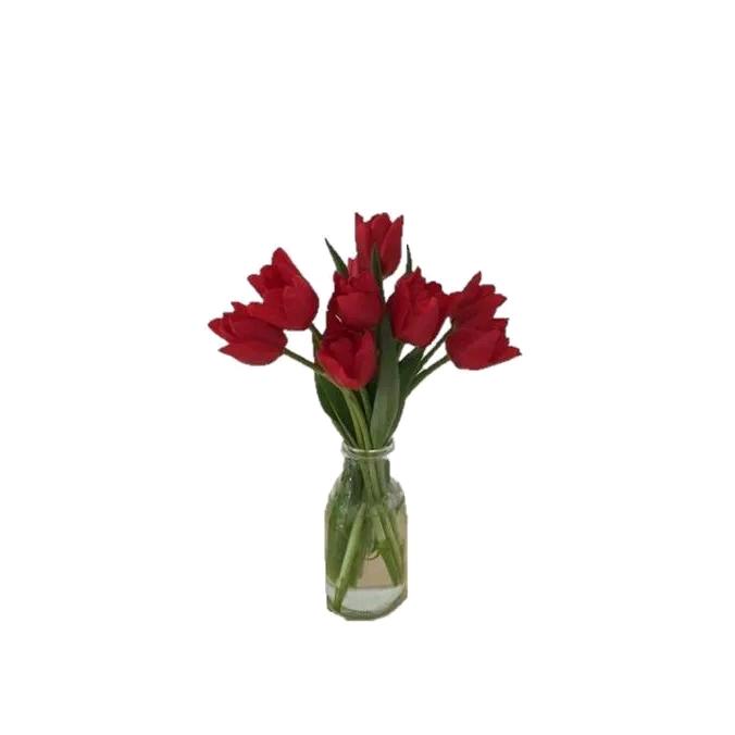 宇宙超级无敌牛逼且传奇的不把妹王