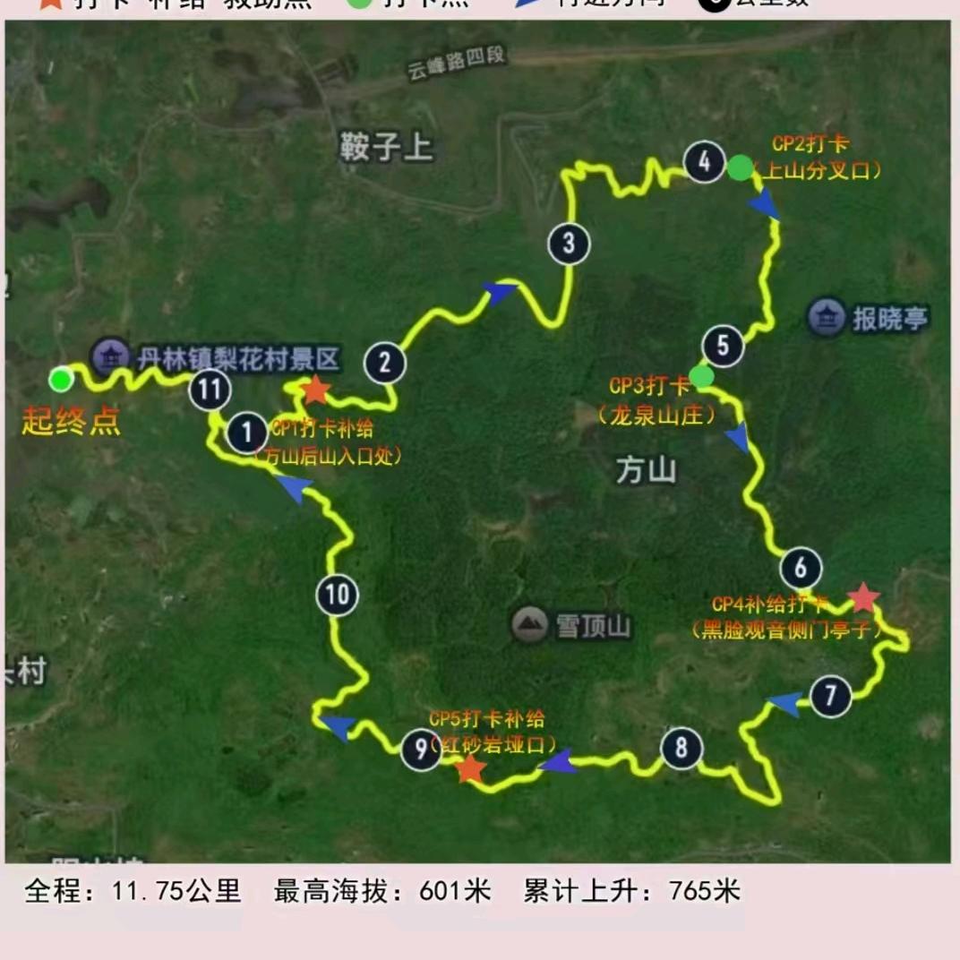 森林