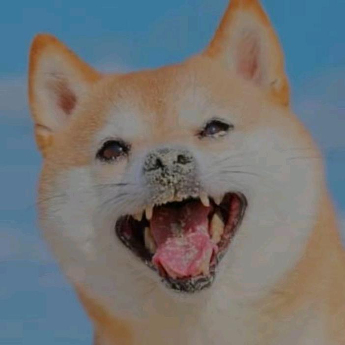 依依