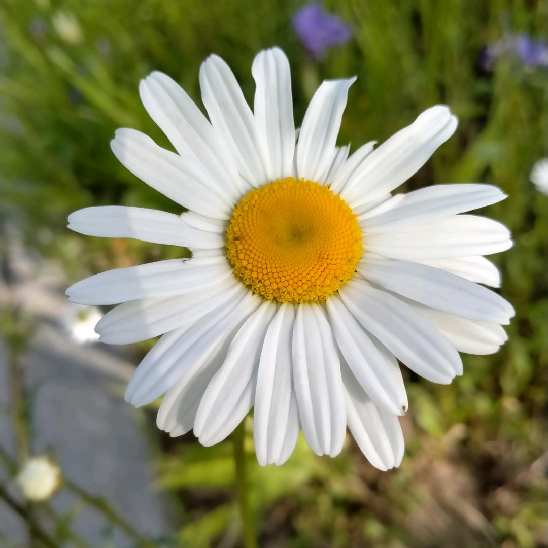 小王的妈妈是大郭