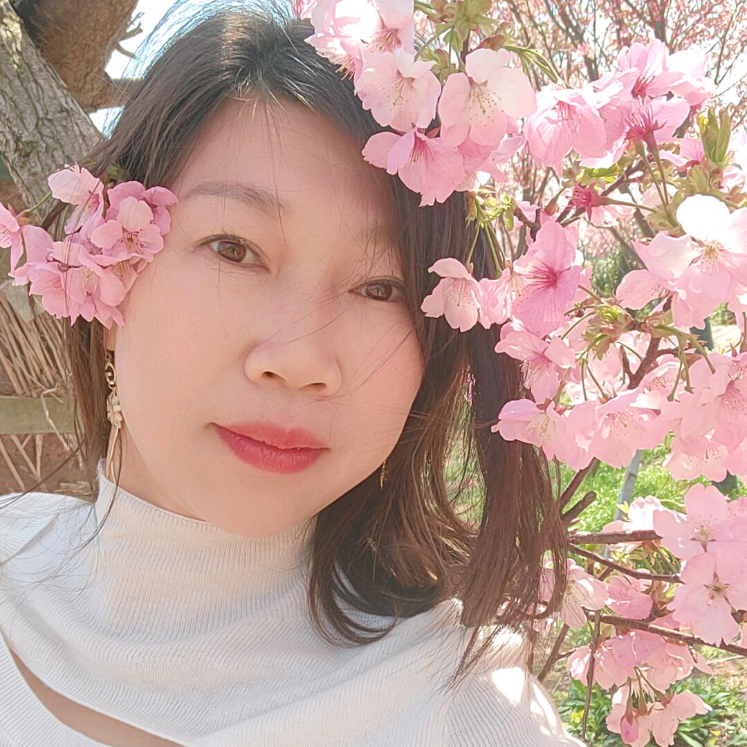 🌻🌻🌼过往