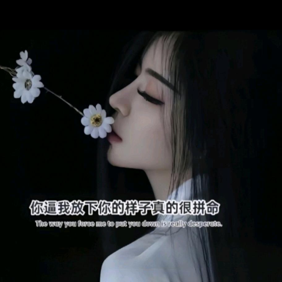 拽爷