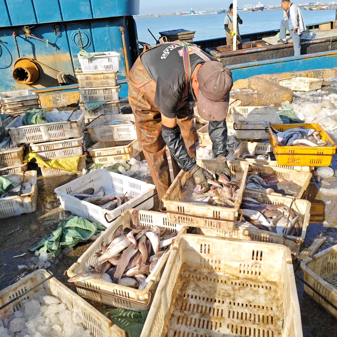 山海生鲜