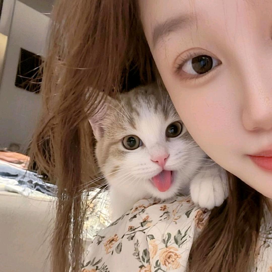 小小凌