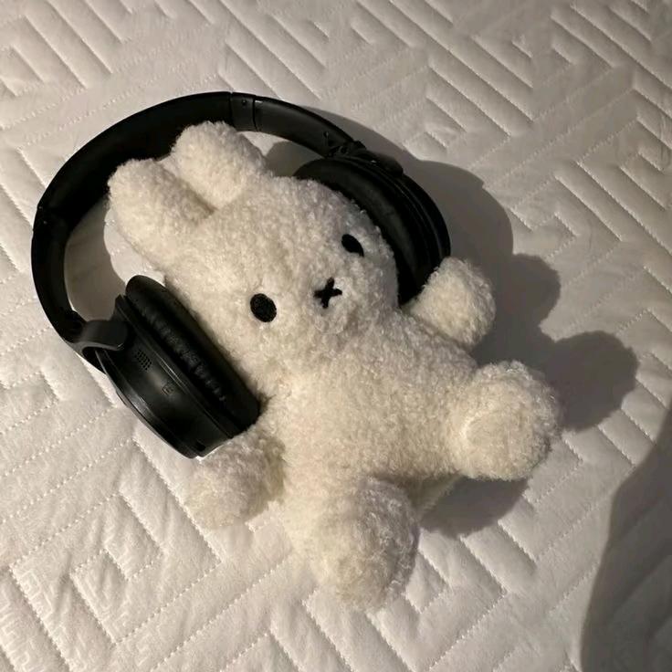 爱宠之家