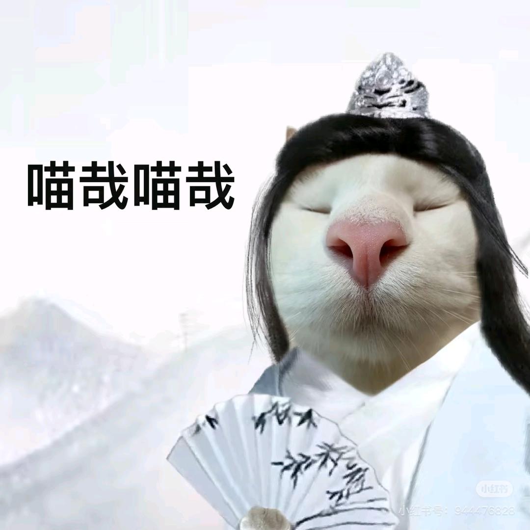 檐角听夏雨🧀🧀🧀