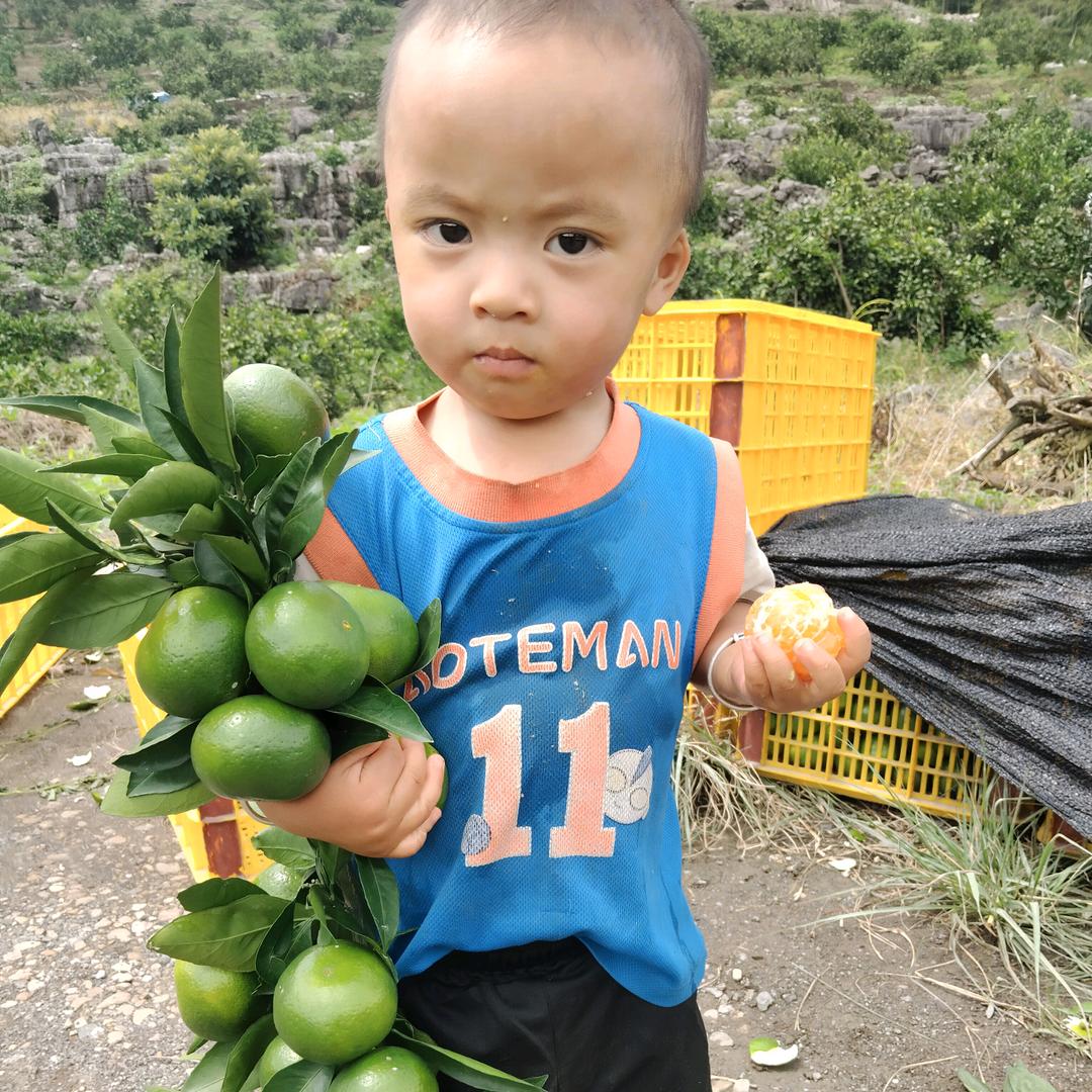 生意兴隆，天天红…