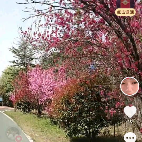 范丽