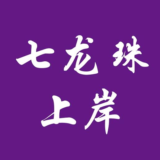 重庆七龙珠上岸