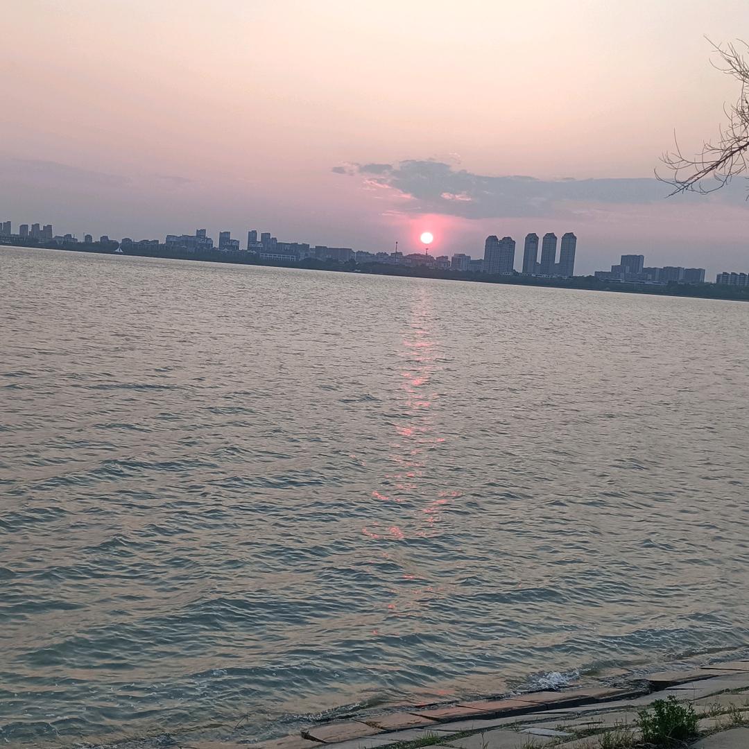 升学规划王老师