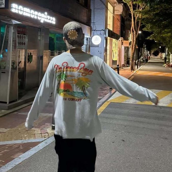 Hong ^zhi