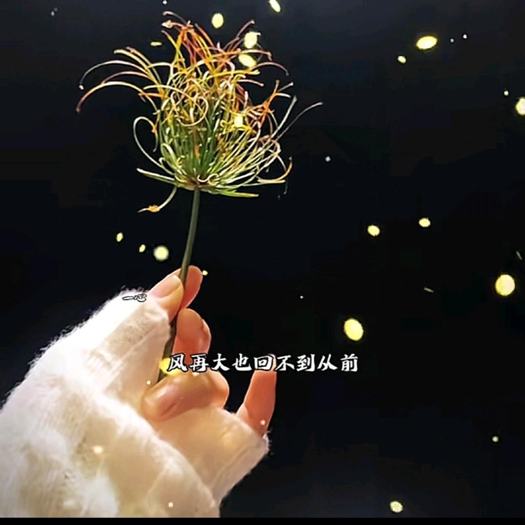 ༄一切🥀随缘🌿࿐ᩚ