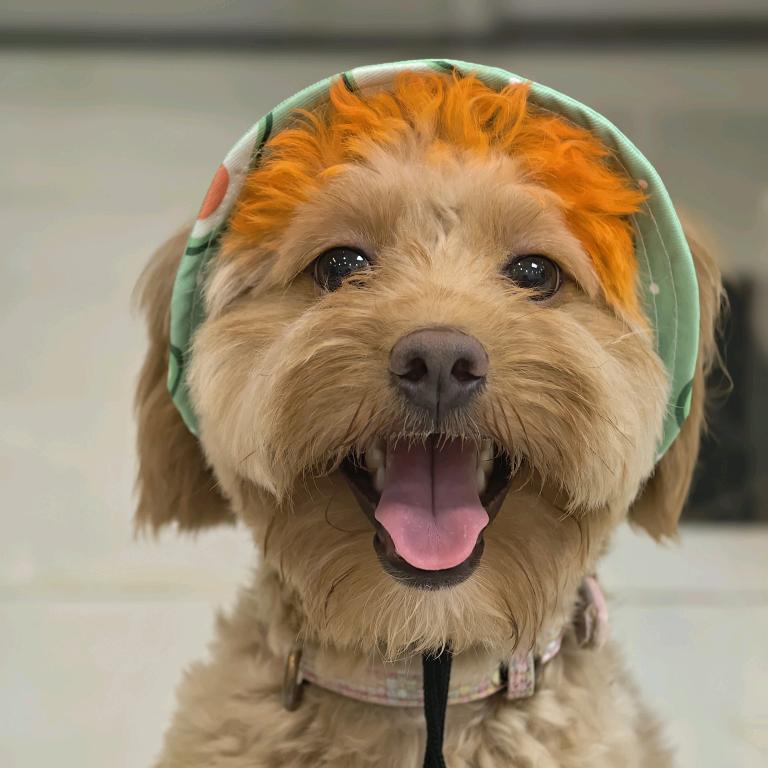 😊是小崔呀😊