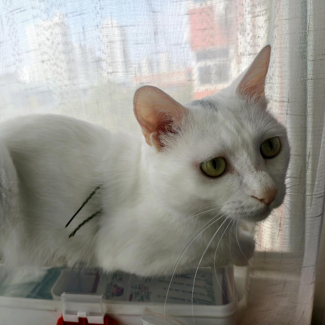 清风徐来~
