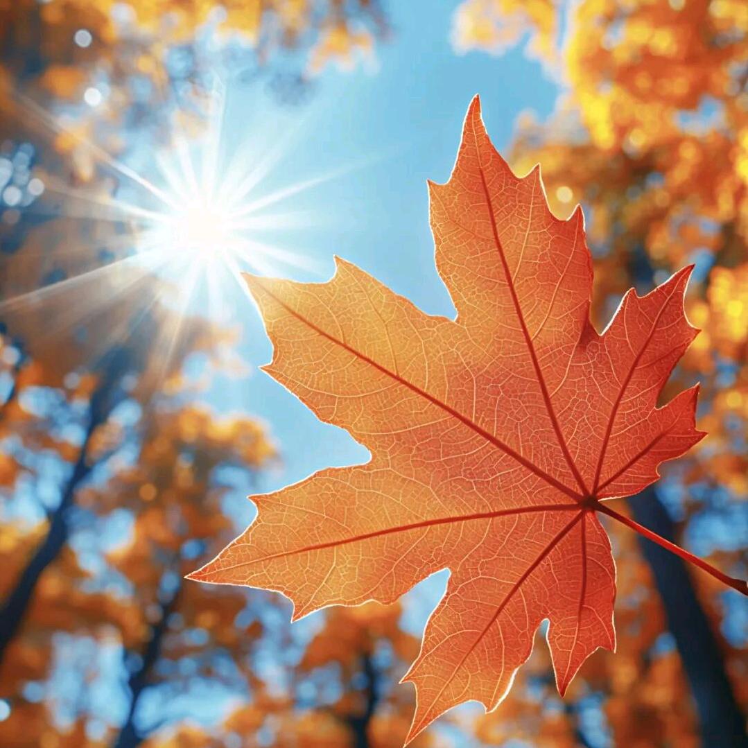 ❤ (ˆ⌣ˆ)余生好运 Lucky❤️