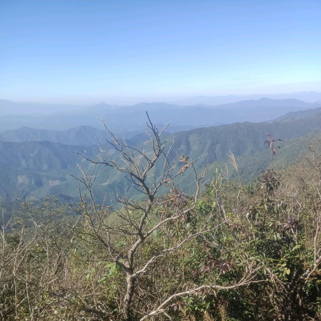 🌺এ废物倾城᭨ᮩ᭨ᮩ໊ഒᩚ࿐