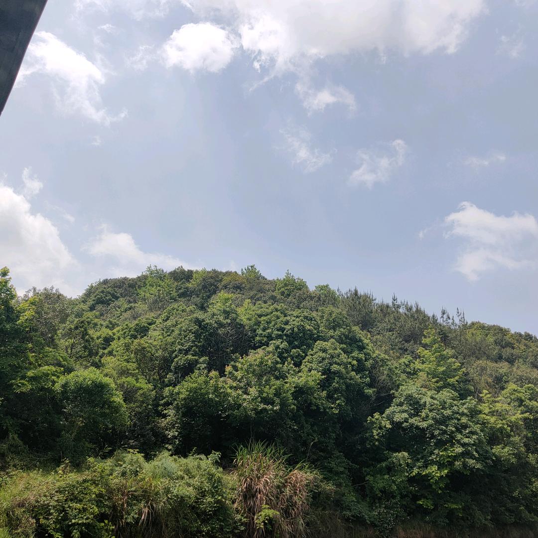 波波