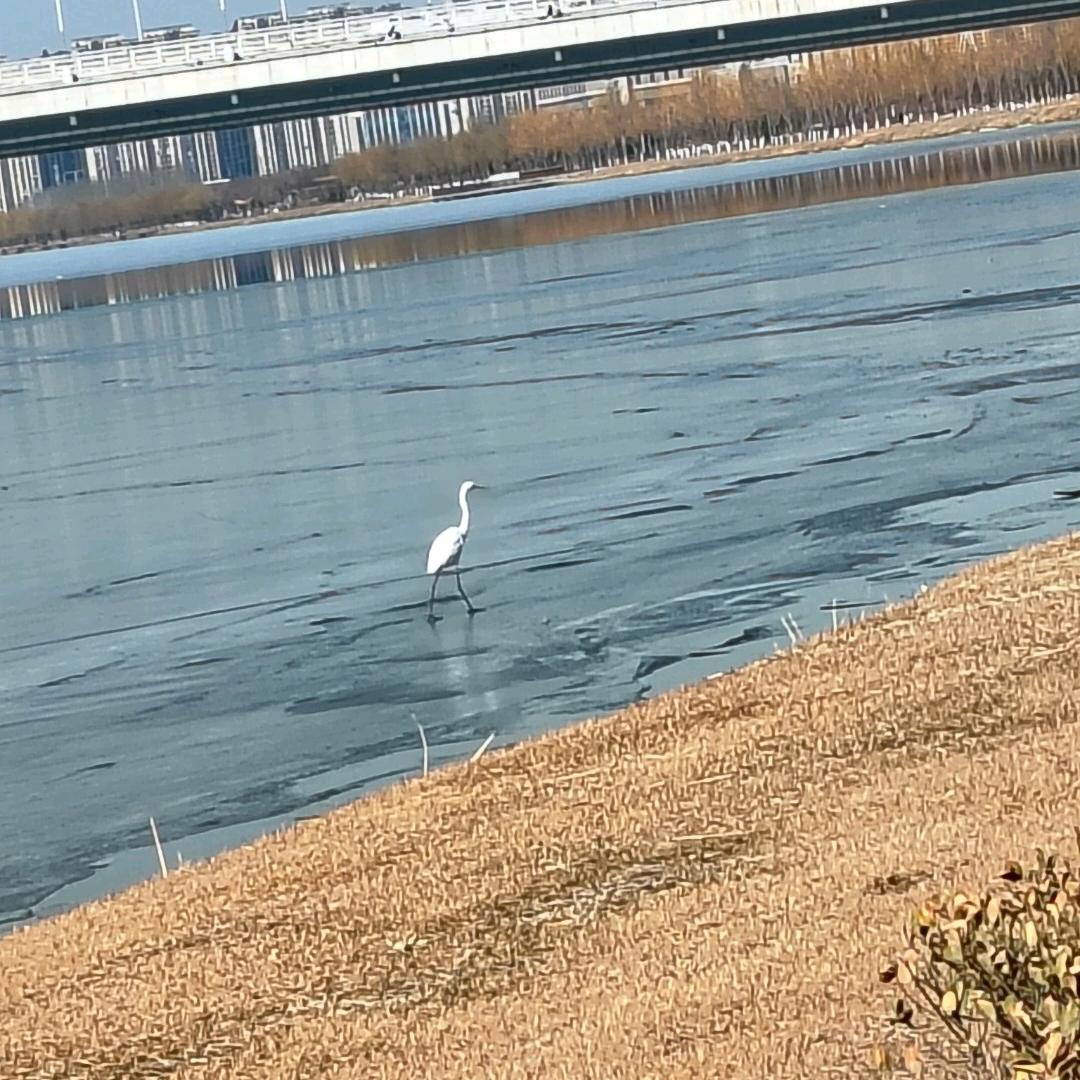 李思考