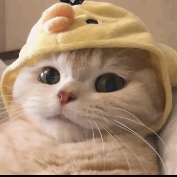熬耶