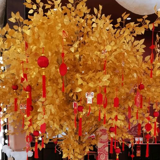 哎呦我去