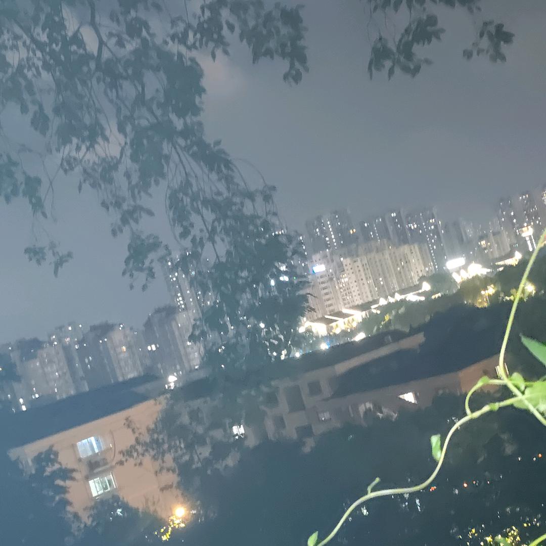 金毛悠悠