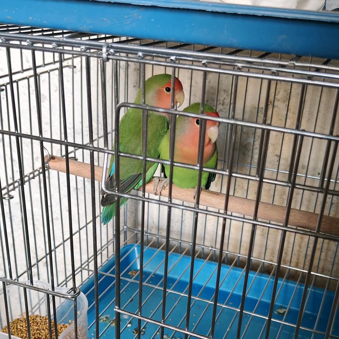 燚