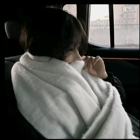 加菲猫心想事成