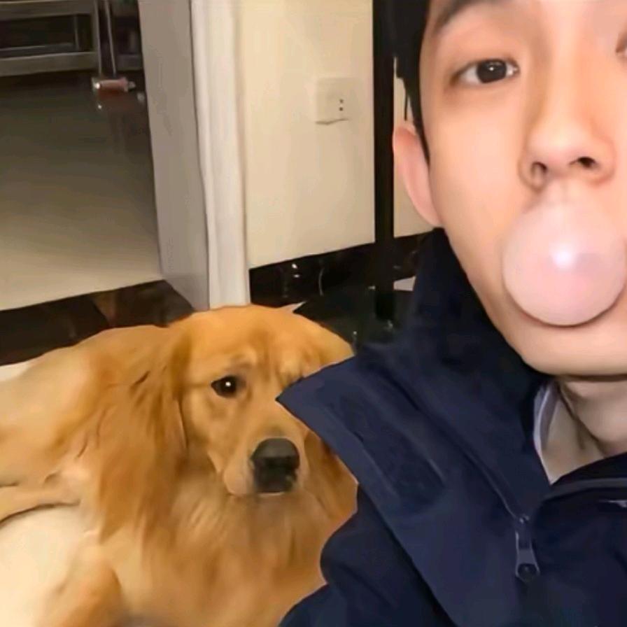 帅是我最微不足道的优点