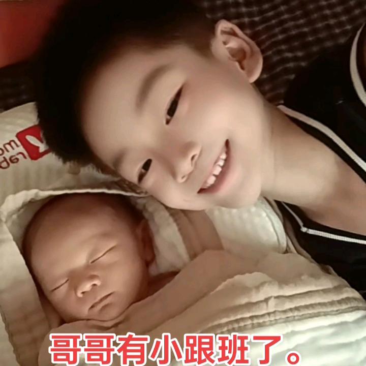 杨妹儿
