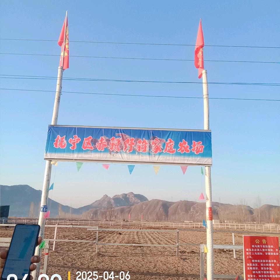 天马湖野骑大队莲子