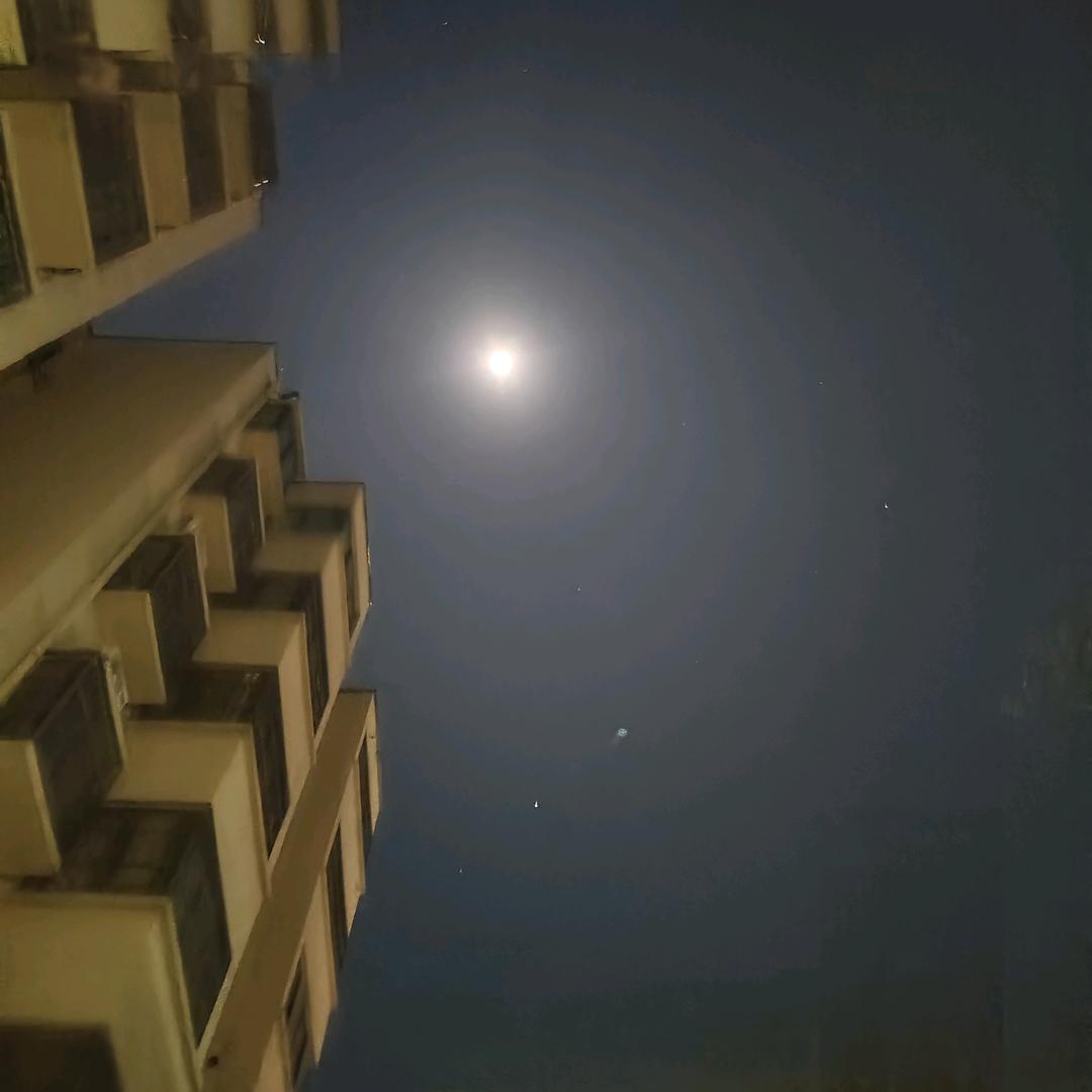 陈住气！