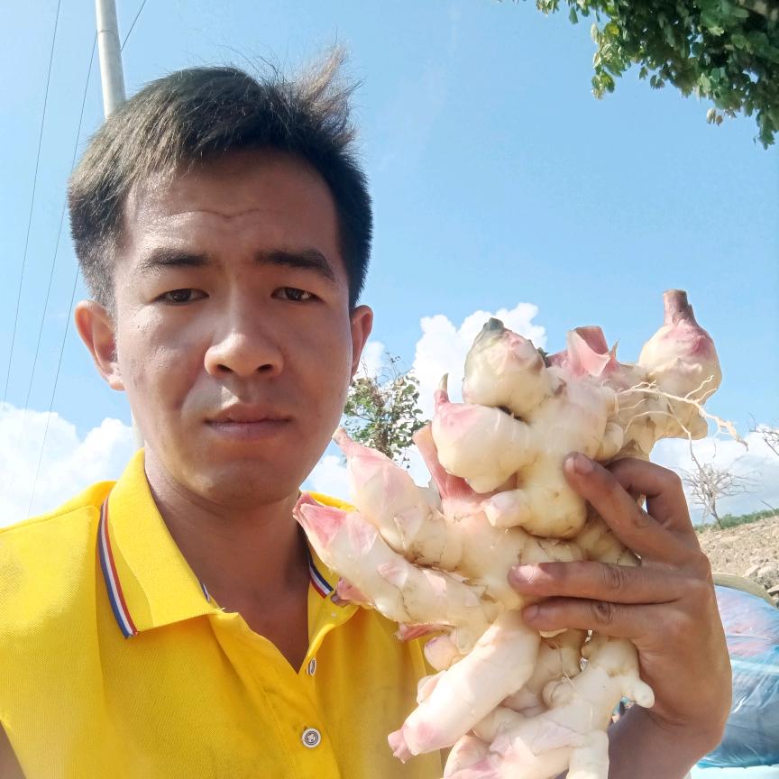 太溪邦小张。