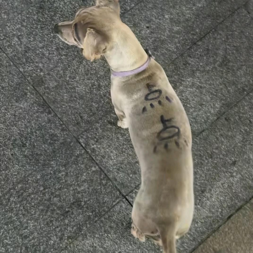 NYNYN