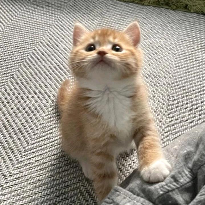 不听