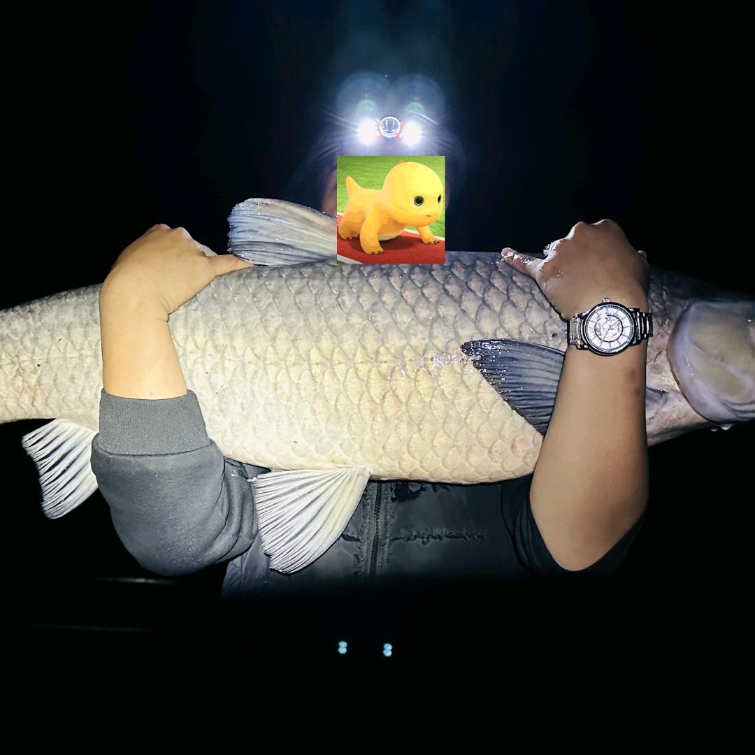 小陈的钓鱼日记