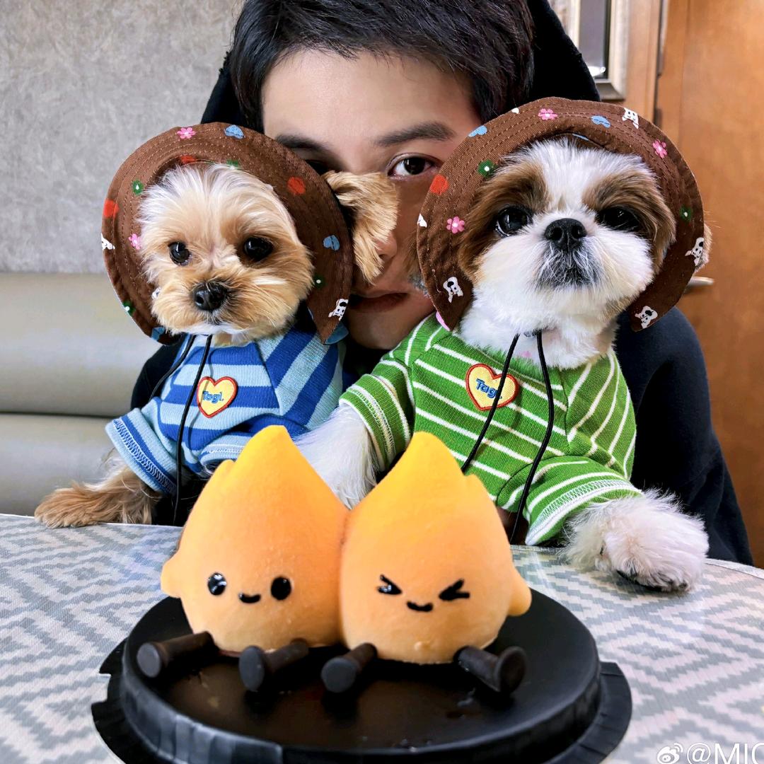 盐罐别翻我碗里