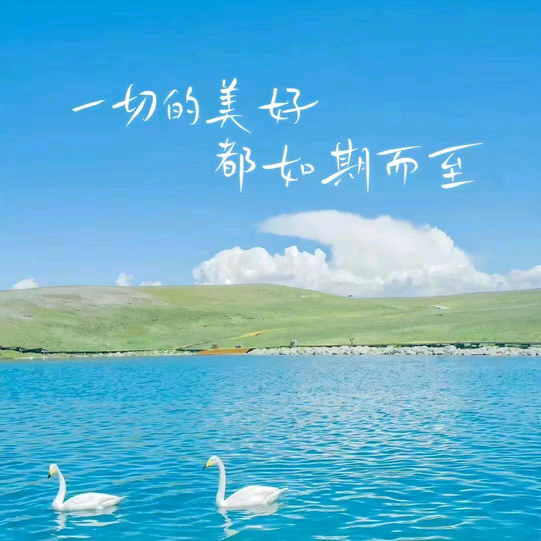 玉欣雅居观影酒店