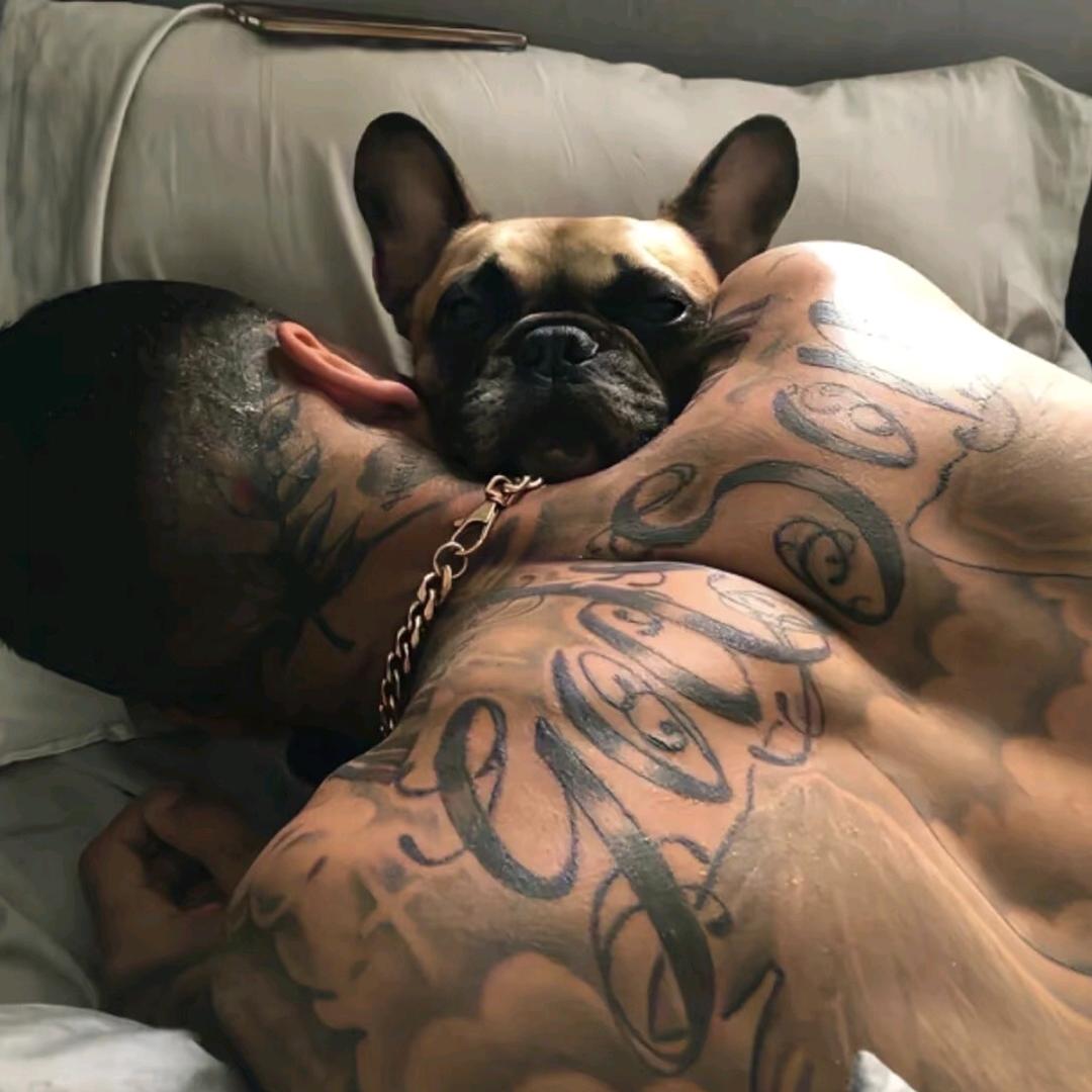 你不要给我哇哇叫