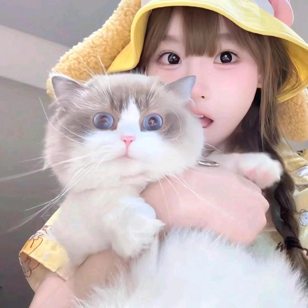樱花🌸落下🐬