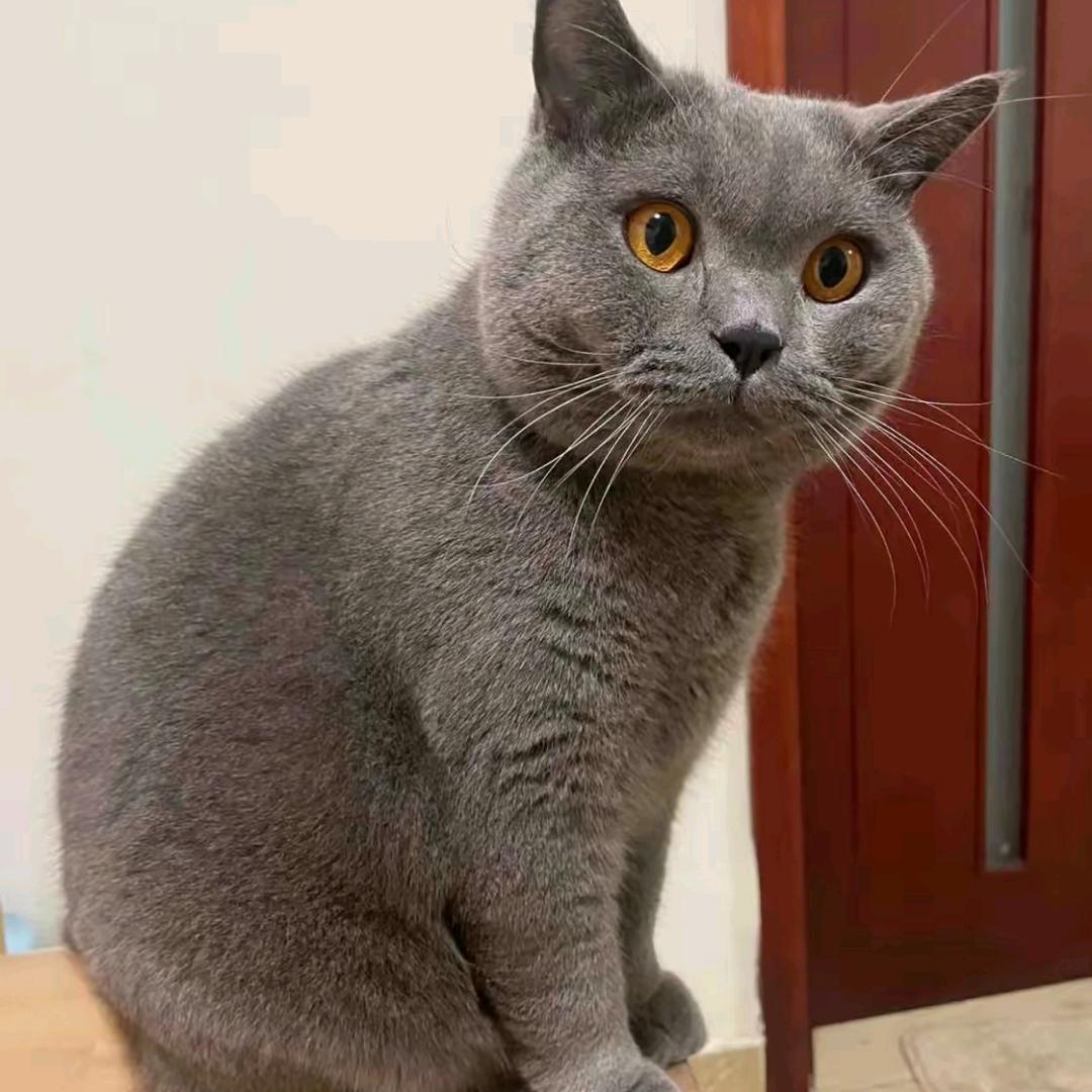 এ᭄๓鲸落℘☾⋆᭄💗
