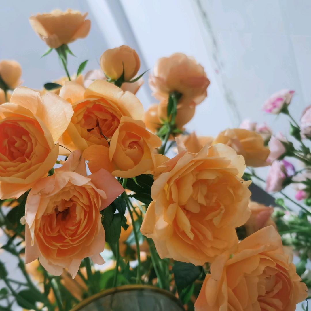 🌈A优优🌸🌸