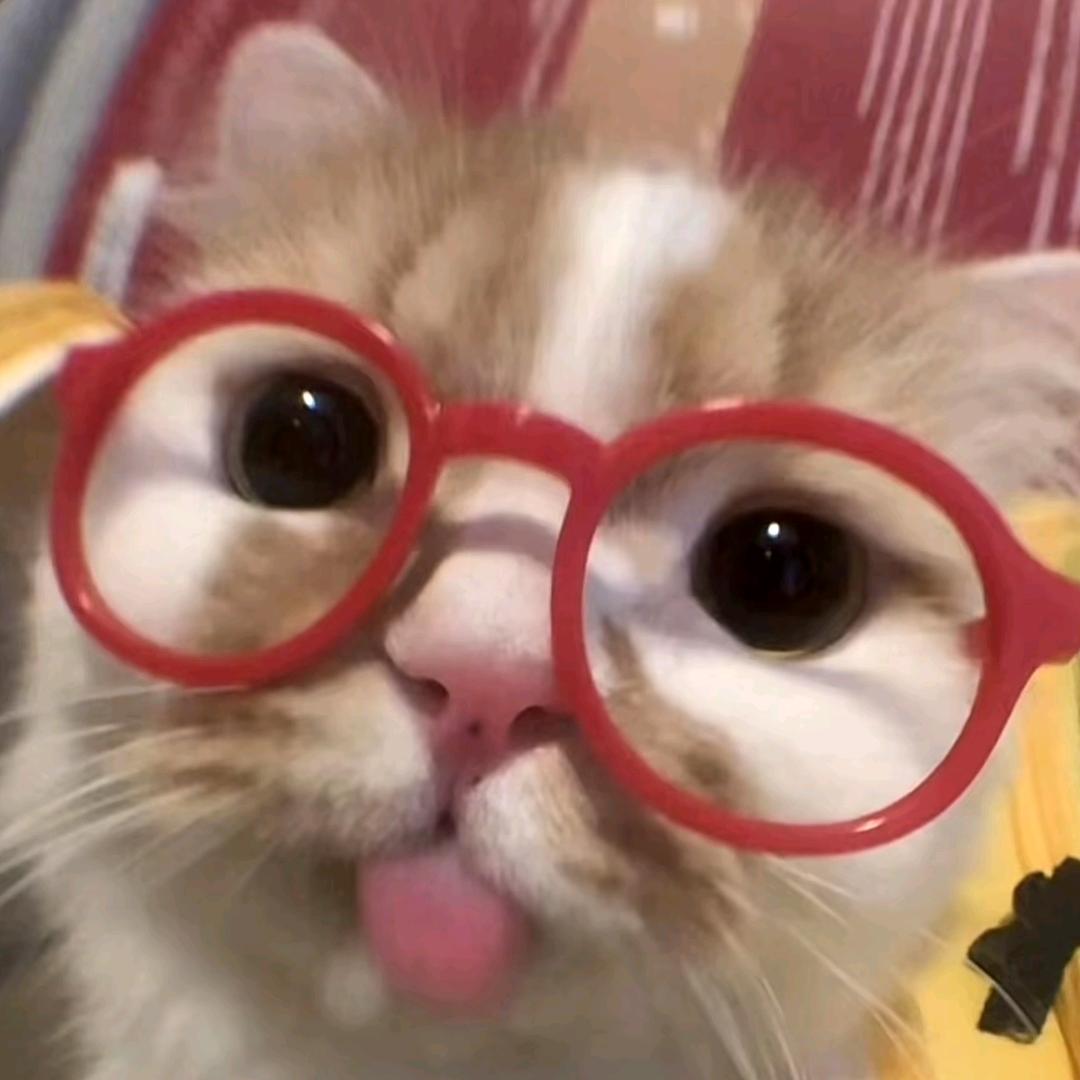 消消甜⁵²⁸⁸🍀