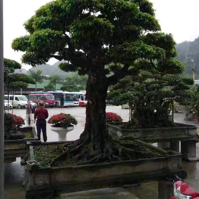 ༽༾走带你下河抓🐟༼༿