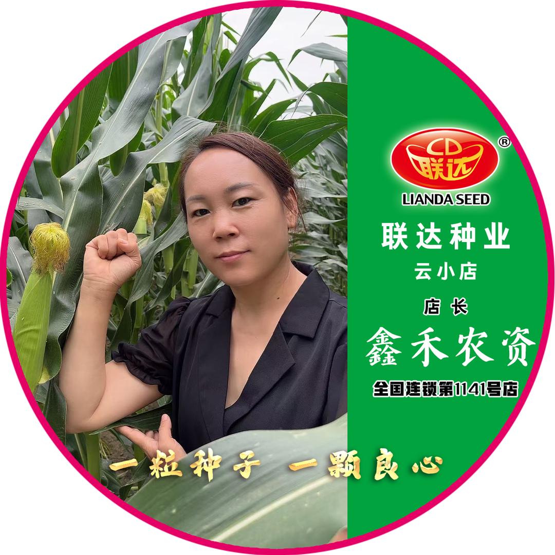 联达彰武云小店-鑫禾农资
