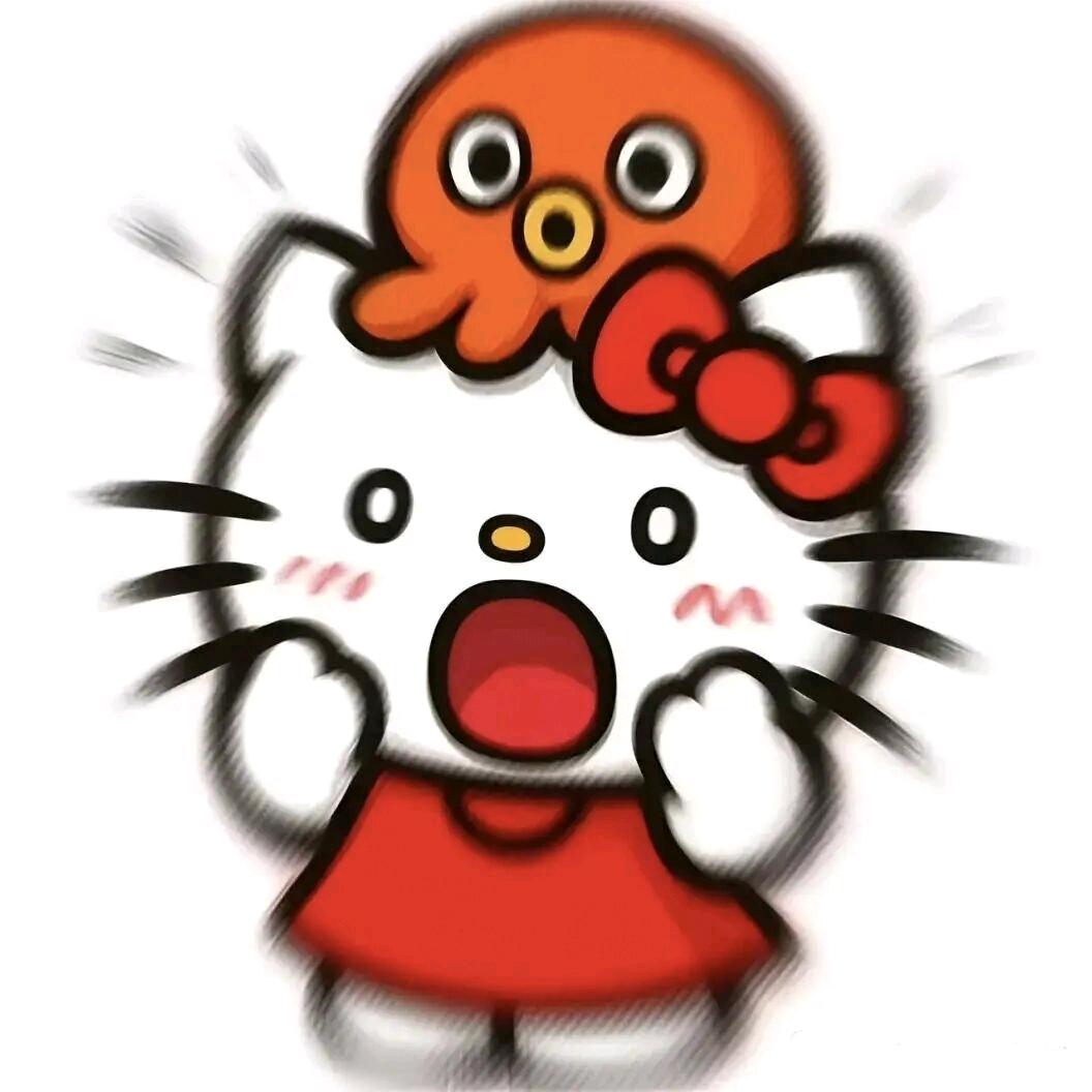 余余an