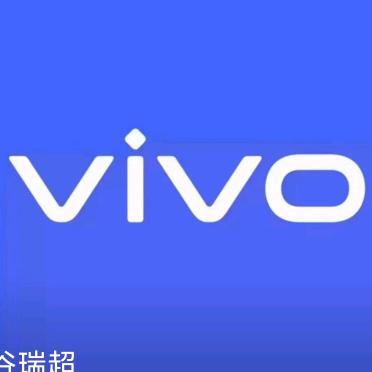 衡水万达vivo
