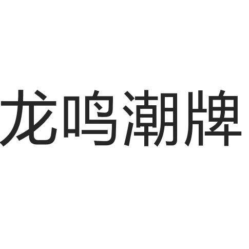 龙鸣潮牌工作室