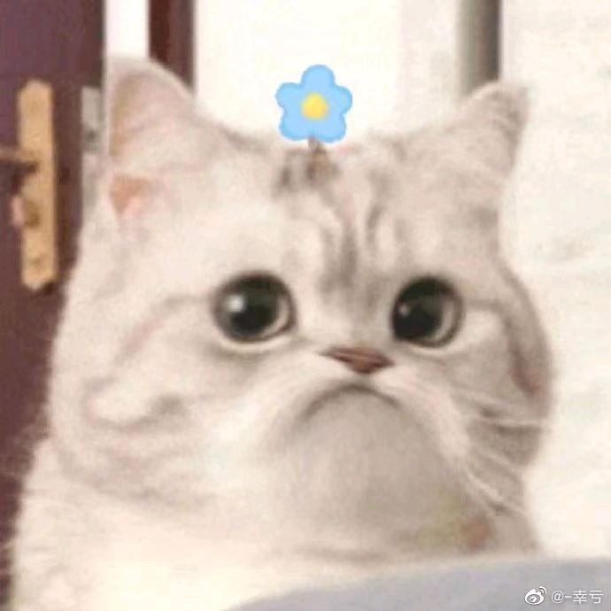 紫豫（武士团）（低调.谦逊）