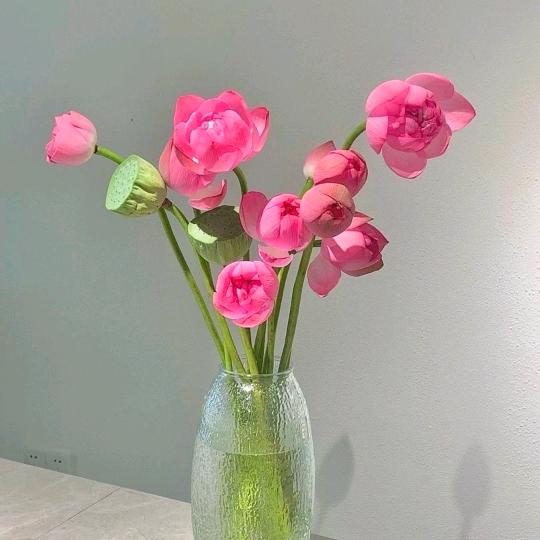 妙德缘🌹🌹🌹